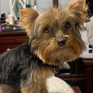 Meet your Posher, Gary